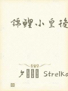 锦鲤小皇后封面