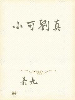 小可刘真