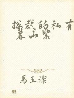 总裁的私有宝贝 暮山紫