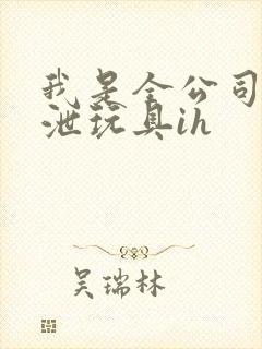 我是全公司的发泄玩具ih封面