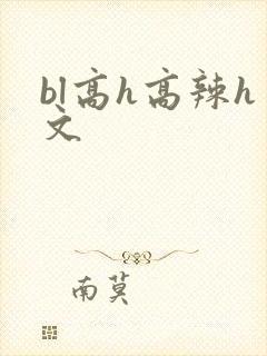 bl高h高辣h文封面