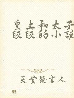 皇上和太子妃沈皎皎的小说免费