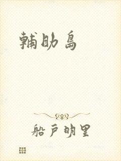辅助岛