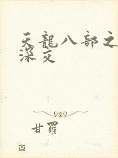 天龙八部之极乐深交封面