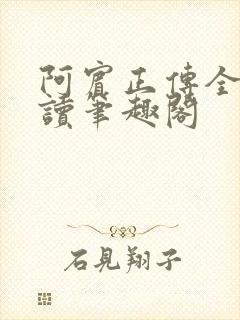 阿宾正传全文阅读笔趣阁