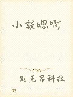小说嗯啊