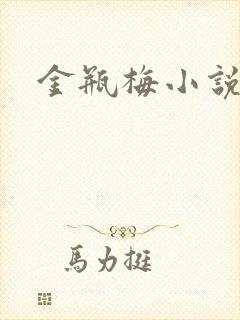 金瓶梅小说下载