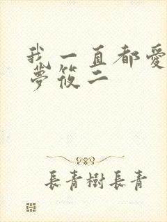 我一直都爱你 梦筱二封面