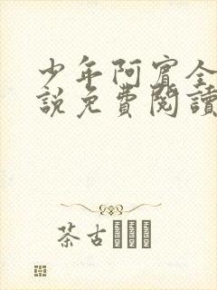 少年阿宾全文小说免费阅读笔趣阁