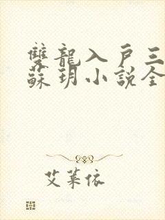 双龙入户三人行苏玥小说全文阅读封面