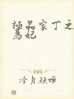 极品家丁之册母为妃