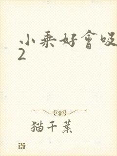 小乘好会吸1V2