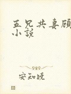 五兄共妻顾心儿小说