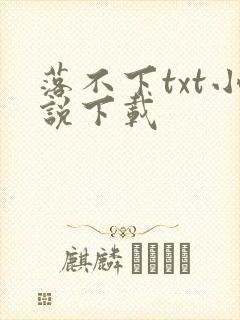 落不下txt小说下载