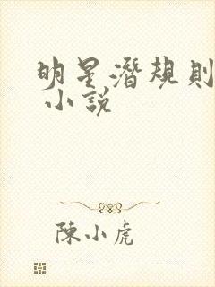 明星潜规则之皇 小说封面