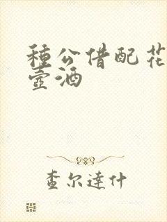 种公借配花间一壶酒