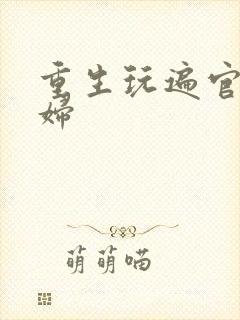 重生玩遍官场贵妇