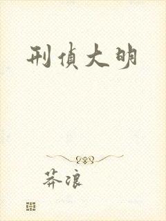 刑侦大明封面