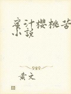 蜜汁樱桃苦咖啡小说