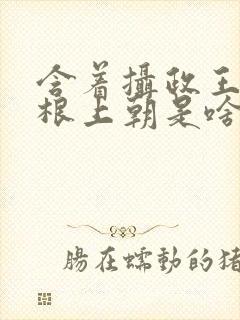 含着摄政王的紫根上朝是啥小说