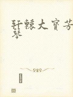 轩辕大宝芳菲雅琴