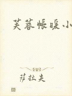 芙蓉帐暖小说封面