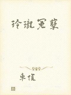 玲珑冤孽封面