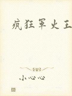 疯狂军火王封面