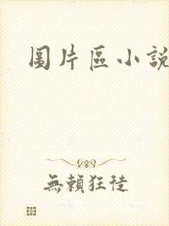 图片区小说区