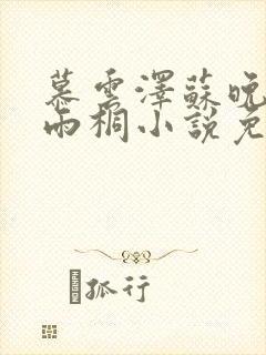 慕云泽苏晚晴夏雨桐小说免费阅读封面