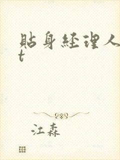 贴身经理人txt