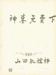神墓免费下载