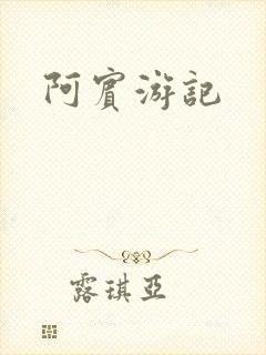 阿宾游记封面