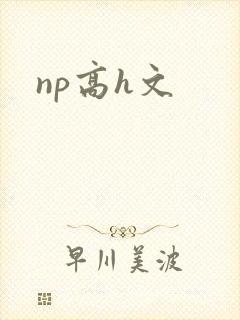 np高h文
