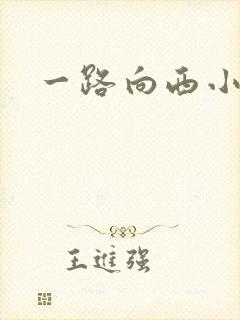 一路向西小说