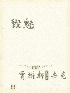 毁魅封面