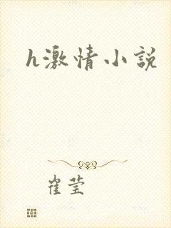 h激情小说