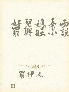 好儿媳秦雨罗明罗兴旺小说