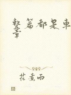 整篇都是车的文章