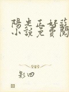 阳光正好苏玥玥小说免费阅读封面