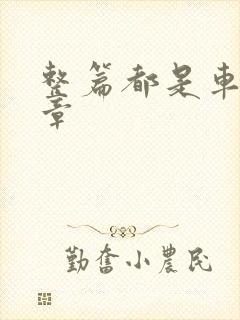 整篇都是车的文章