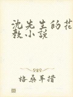 沈先生的花式调教小说