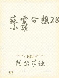 苏雪公憩28篇小说
