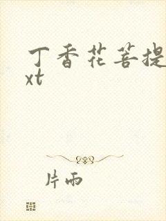 丁香花菩提树txt