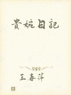 贵婉日记封面