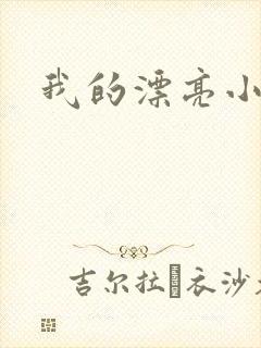 我的漂亮小后妈