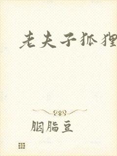 老夫子狐狸仙