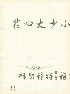花心大少小说