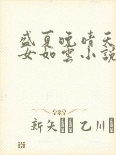 盛夏晚晴天之美女如云小说