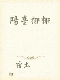 阳台椰椰